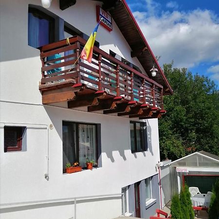 BuşteniVila Darian别墅 外观 照片