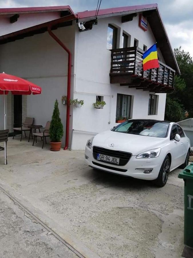 BuşteniVila Darian别墅 外观 照片