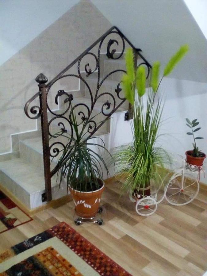 BuşteniVila Darian别墅 外观 照片