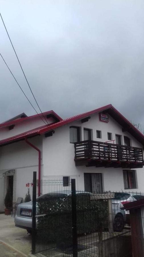 BuşteniVila Darian别墅 外观 照片