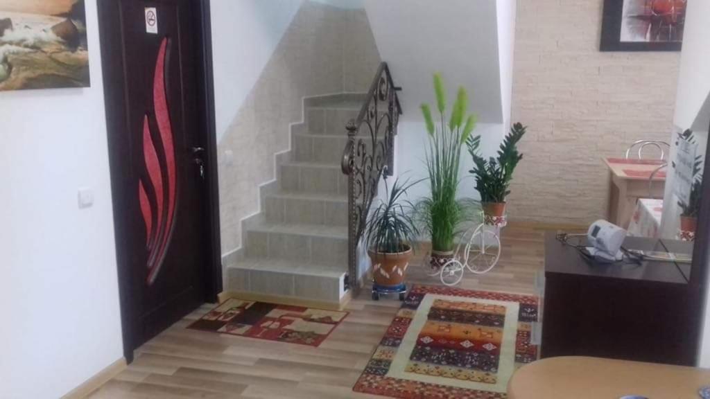 BuşteniVila Darian别墅 外观 照片