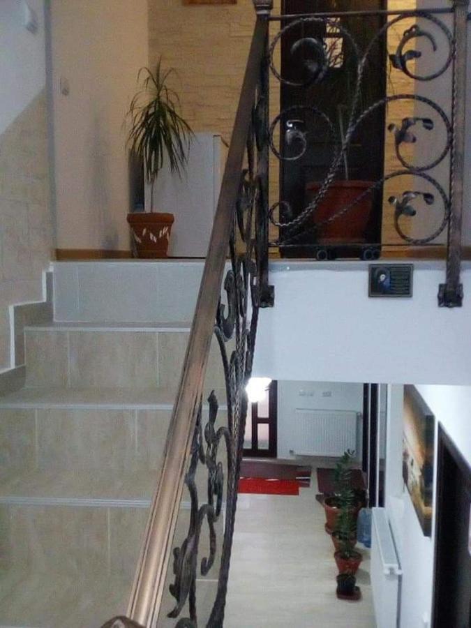 BuşteniVila Darian别墅 外观 照片