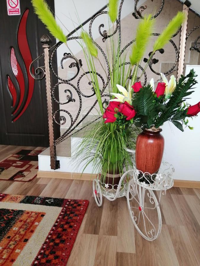 BuşteniVila Darian别墅 外观 照片