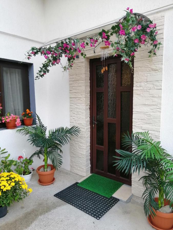 BuşteniVila Darian别墅 外观 照片