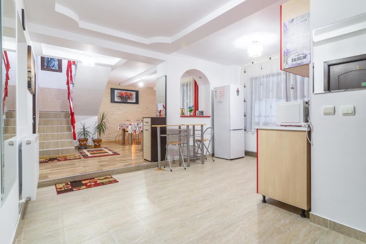 BuşteniVila Darian别墅 外观 照片