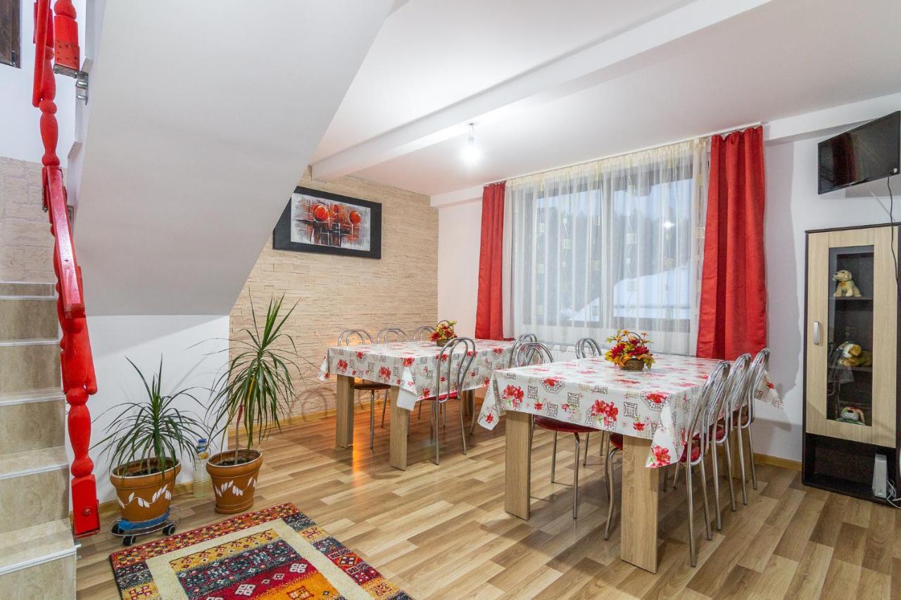 BuşteniVila Darian别墅 外观 照片
